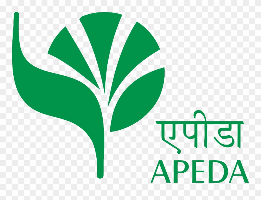 APEDA LOGO